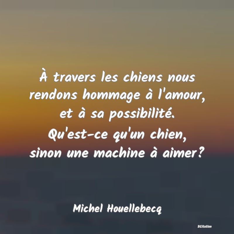 image de citation: À travers les chiens nous rendons hommage à l'amour, et à sa possibilité. Qu'est-ce qu'un chien, sinon une machine à aimer?