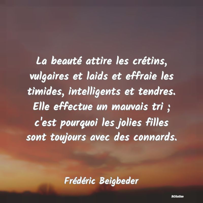 image de citation: La beauté attire les crétins, vulgaires et laids et effraie les timides, intelligents et tendres. Elle effectue un mauvais tri ; c'est pourquoi les jolies filles sont toujours avec des connards.