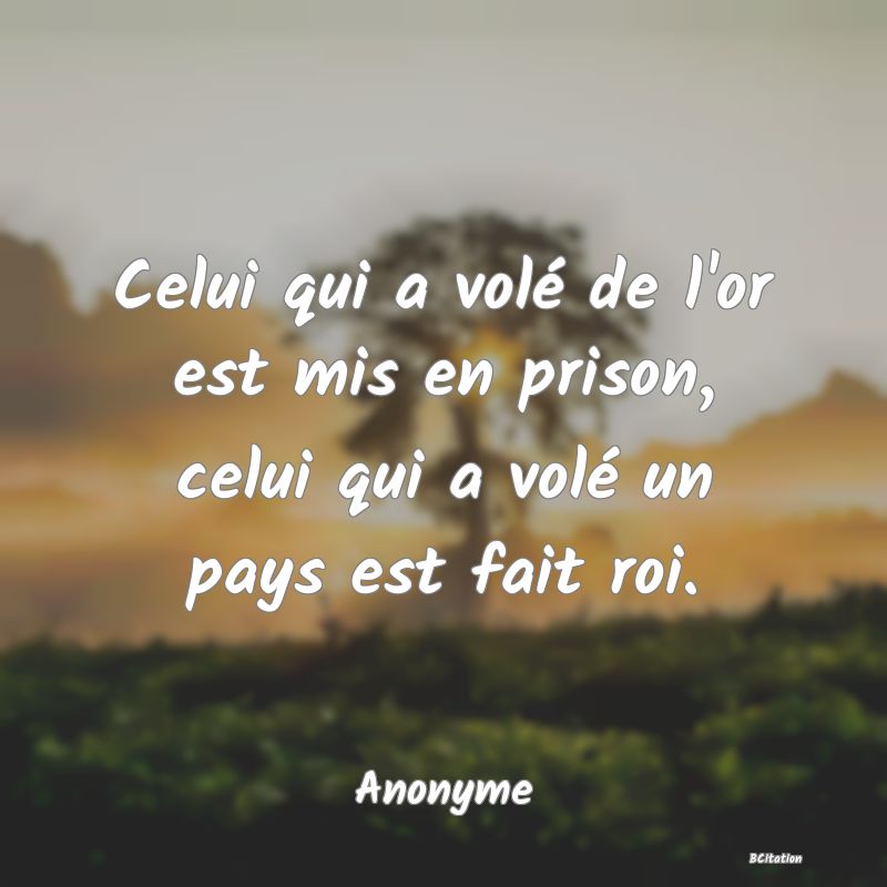 image de citation: Celui qui a volé de l'or est mis en prison, celui qui a volé un pays est fait roi.