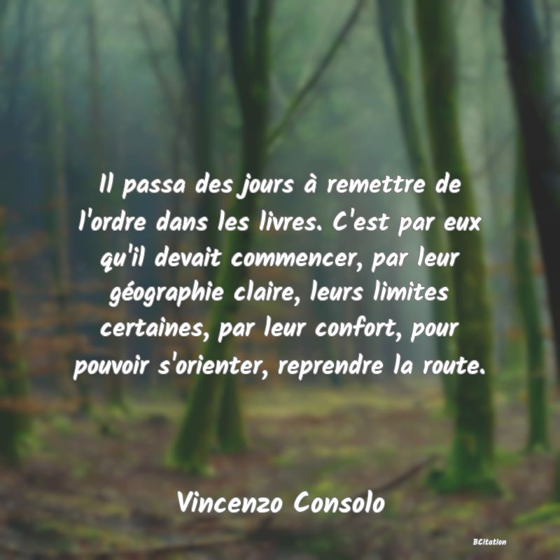 image de citation: Il passa des jours à remettre de l'ordre dans les livres. C'est par eux qu'il devait commencer, par leur géographie claire, leurs limites certaines, par leur confort, pour pouvoir s'orienter, reprendre la route.