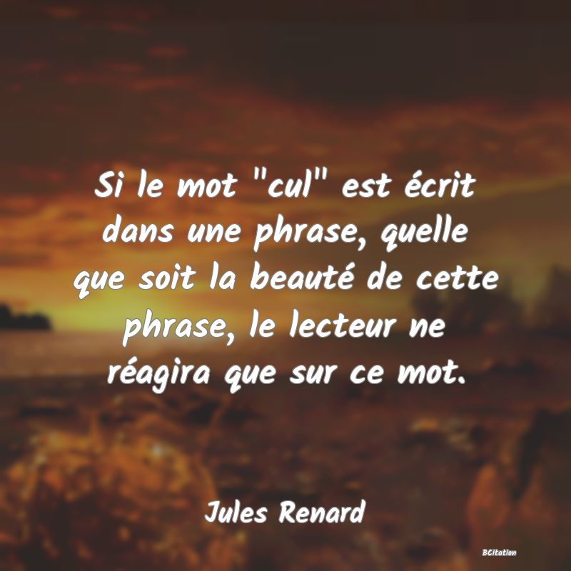 image de citation: Si le mot  cul  est écrit dans une phrase, quelle que soit la beauté de cette phrase, le lecteur ne réagira que sur ce mot.