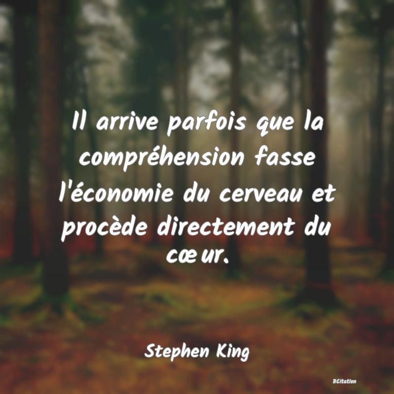 Belle Citation - Il arrive parfois que la compréhension fasse l'économie du cerveau et procède directement du cœur. - Stephen King