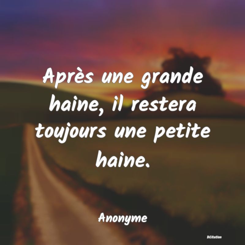 Belle Citation - Après une grande haine, il restera toujours une petite haine. - Anonyme