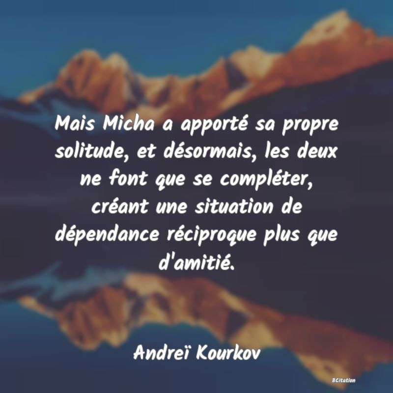 image de citation: Mais Micha a apporté sa propre solitude, et désormais, les deux ne font que se compléter, créant une situation de dépendance réciproque plus que d'amitié.