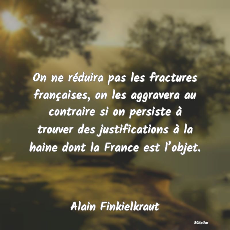 image de citation: On ne réduira pas les fractures françaises, on les aggravera au contraire si on persiste à trouver des justifications à la haine dont la France est l’objet.