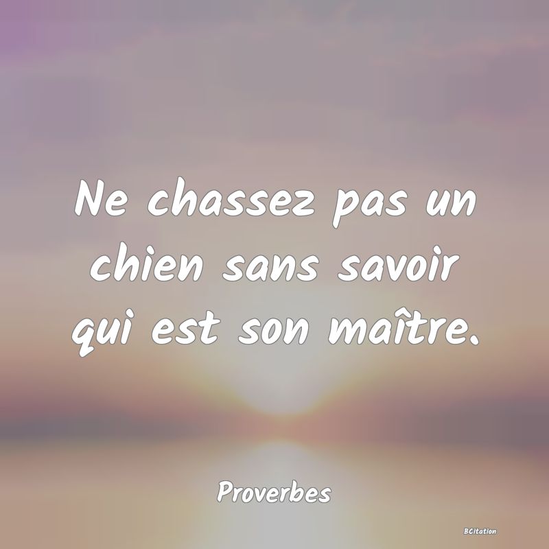 Belle Citation - Ne chassez pas un chien sans savoir qui est son maître. - Proverbes