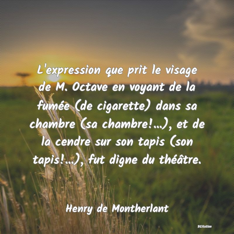 image de citation: L'expression que prit le visage de M. Octave en voyant de la fumée (de cigarette) dans sa chambre (sa chambre!...), et de la cendre sur son tapis (son tapis!...), fut digne du théâtre.