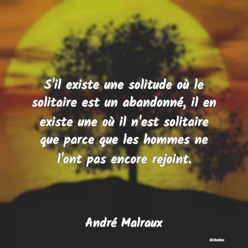 Belle Citation - S'il existe une solitude où le solitaire est un abandonné, il en existe une où il n'est solitaire que parce que les hommes ne l'ont pas encore rejoint. - André Malraux