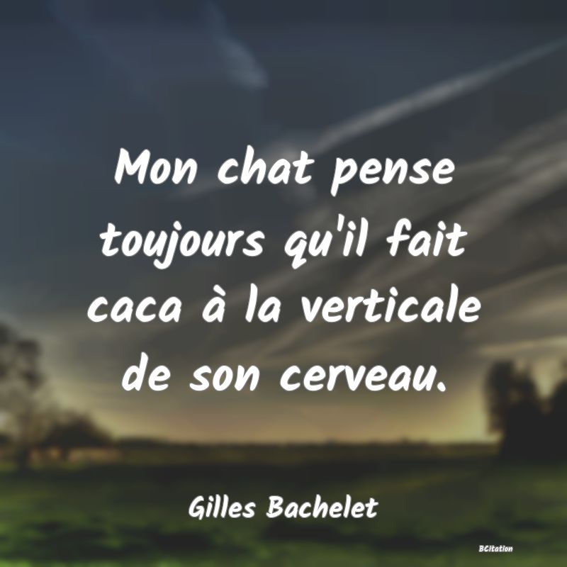 image de citation: Mon chat pense toujours qu'il fait caca à la verticale de son cerveau.