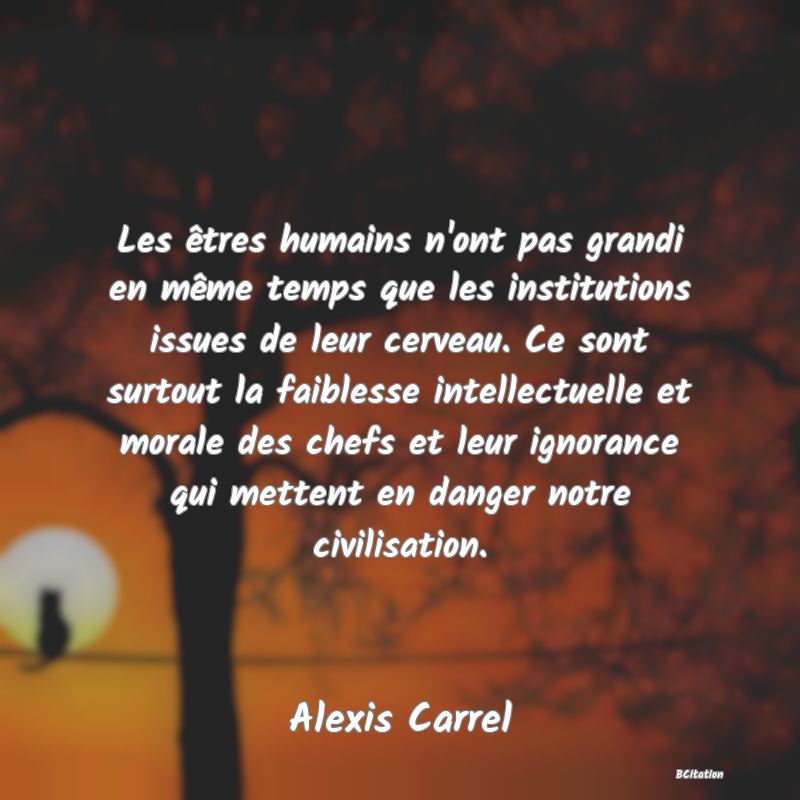 image de citation: Les êtres humains n'ont pas grandi en même temps que les institutions issues de leur cerveau. Ce sont surtout la faiblesse intellectuelle et morale des chefs et leur ignorance qui mettent en danger notre civilisation.