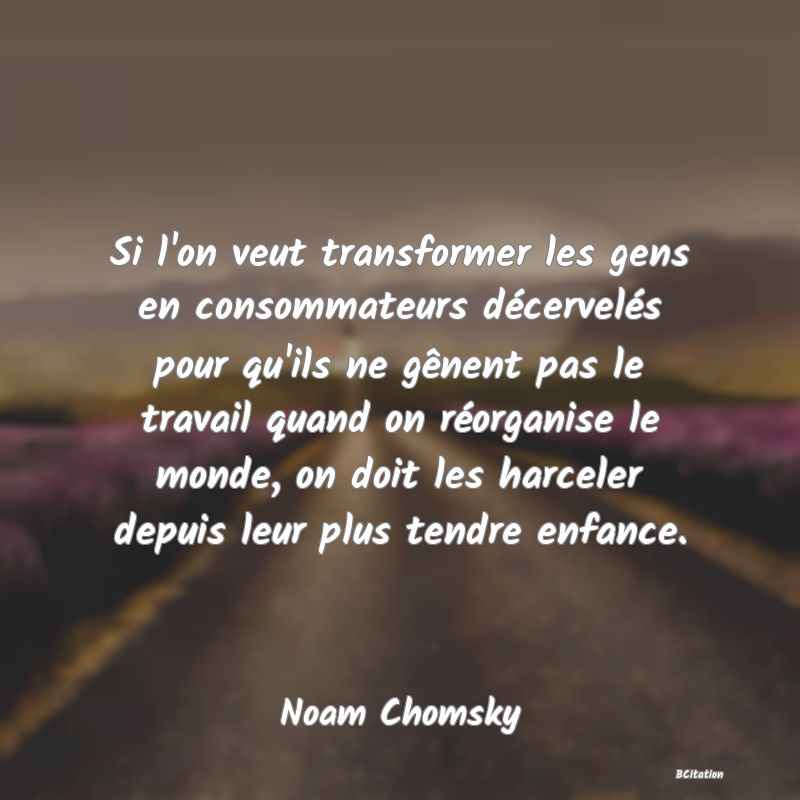 image de citation: Si l'on veut transformer les gens en consommateurs décervelés pour qu'ils ne gênent pas le travail quand on réorganise le monde, on doit les harceler depuis leur plus tendre enfance.