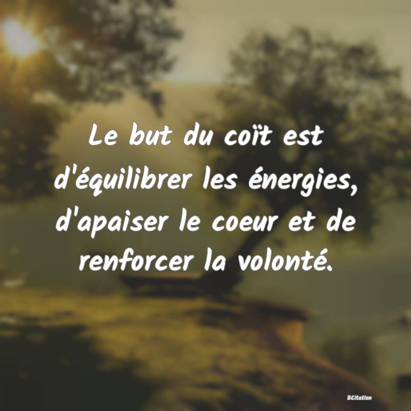 image de citation: Le but du coït est d'équilibrer les énergies, d'apaiser le coeur et de renforcer la volonté.
