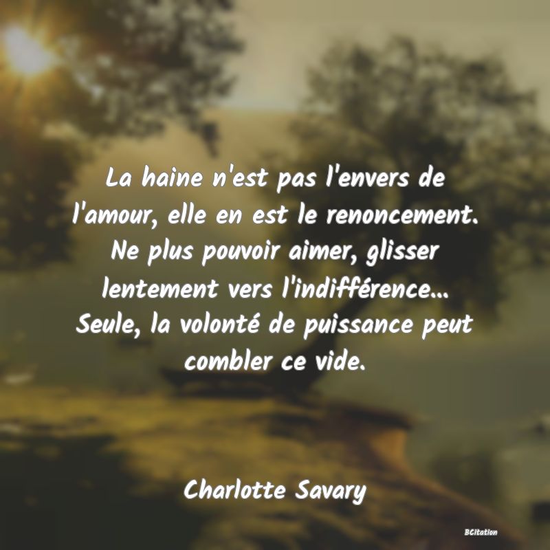 image de citation: La haine n'est pas l'envers de l'amour, elle en est le renoncement. Ne plus pouvoir aimer, glisser lentement vers l'indifférence... Seule, la volonté de puissance peut combler ce vide.