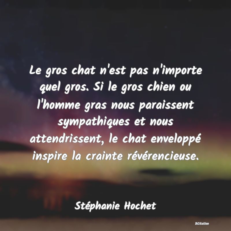 image de citation: Le gros chat n'est pas n'importe quel gros. Si le gros chien ou l'homme gras nous paraissent sympathiques et nous attendrissent, le chat enveloppé inspire la crainte révérencieuse.