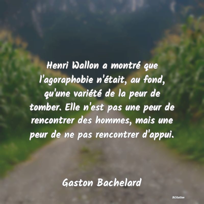 image de citation: Henri Wallon a montré que l'agoraphobie n'était, au fond, qu'une variété de la peur de tomber. Elle n'est pas une peur de rencontrer des hommes, mais une peur de ne pas rencontrer d'appui.