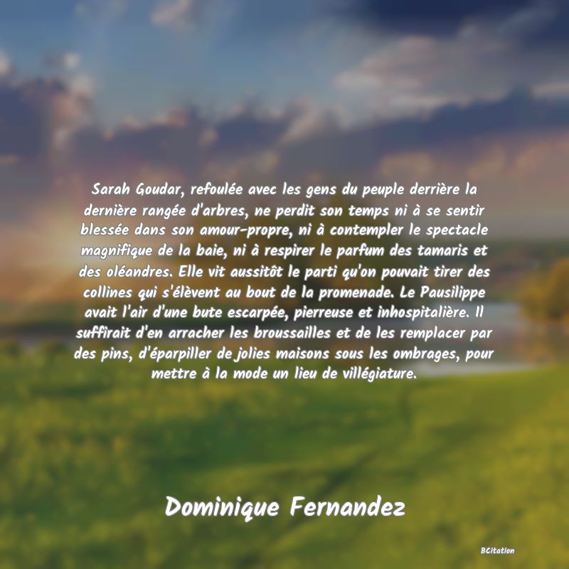Belle Citation - Sarah Goudar, refoulée avec les gens du peuple derrière la dernière rangée d'arbres, ne perdit son temps ni à se sentir blessée dans son amour-propre, ni à contempler le spectacle magnifique de la baie, ni à respirer le parfum des tamaris et des oléandres. Elle vit aussitôt le parti qu'on pouvait tirer des collines qui s'élèvent au bout de la promenade. Le Pausilippe avait l'air d'une bute escarpée, pierreuse et inhospitalière. Il suffirait d'en arracher les broussailles et de les remplacer par des pins, d'éparpiller de jolies maisons sous les ombrages, pour mettre à la mode un lieu de villégiature. - Dominique Fernandez