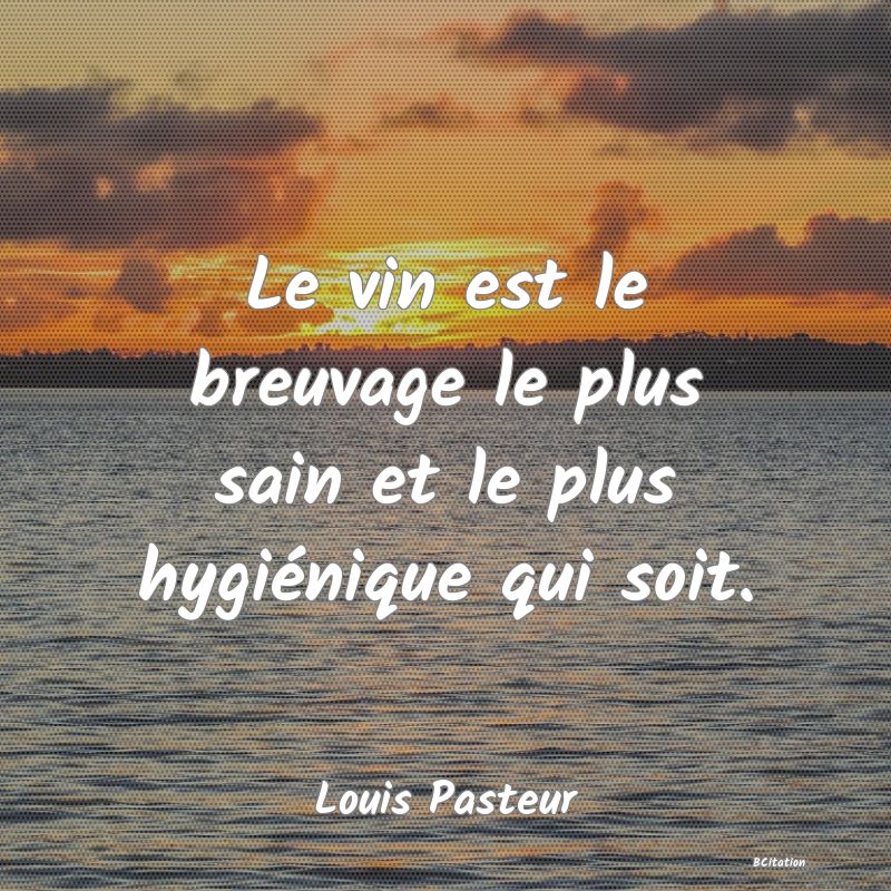 image de citation: Le vin est le breuvage le plus sain et le plus hygiénique qui soit.