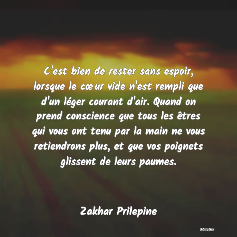 image de citation: C'est bien de rester sans espoir, lorsque le cœur vide n'est rempli que d'un léger courant d'air. Quand on prend conscience que tous les êtres qui vous ont tenu par la main ne vous retiendrons plus, et que vos poignets glissent de leurs paumes.