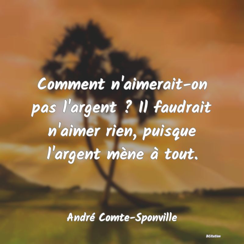 Belle Citation - Comment n'aimerait-on pas l'argent ? Il faudrait n'aimer rien, puisque l'argent mène à tout. - André Comte-Sponville