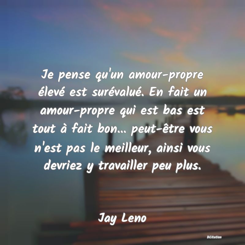 image de citation: Je pense qu'un amour-propre élevé est surévalué. En fait un amour-propre qui est bas est tout à fait bon... peut-être vous n'est pas le meilleur, ainsi vous devriez y travailler peu plus.