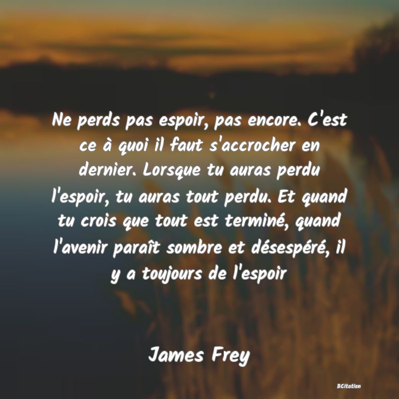 image de citation: Ne perds pas espoir, pas encore. C'est ce à quoi il faut s'accrocher en dernier. Lorsque tu auras perdu l'espoir, tu auras tout perdu. Et quand tu crois que tout est terminé, quand l'avenir paraît sombre et désespéré, il y a toujours de l'espoir