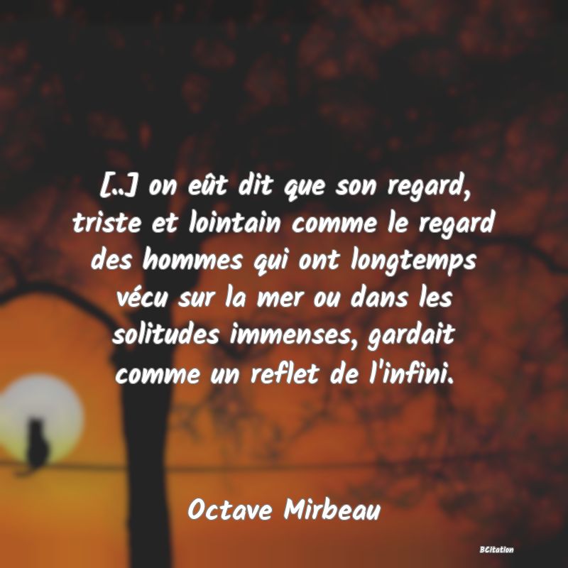 image de citation: [..] on eût dit que son regard, triste et lointain comme le regard des hommes qui ont longtemps vécu sur la mer ou dans les solitudes immenses, gardait comme un reflet de l'infini.