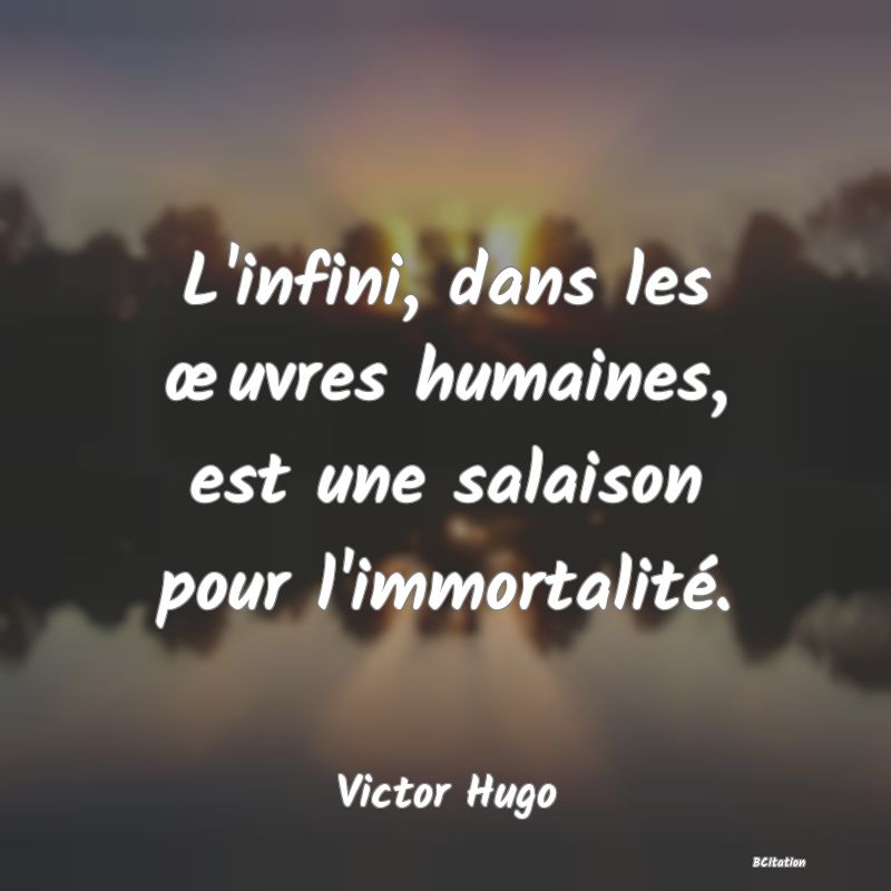 image de citation: L'infini, dans les œuvres humaines, est une salaison pour l'immortalité.