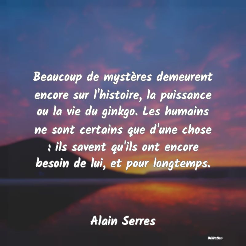 image de citation: Beaucoup de mystères demeurent encore sur l'histoire, la puissance ou la vie du ginkgo. Les humains ne sont certains que d'une chose : ils savent qu'ils ont encore besoin de lui, et pour longtemps.