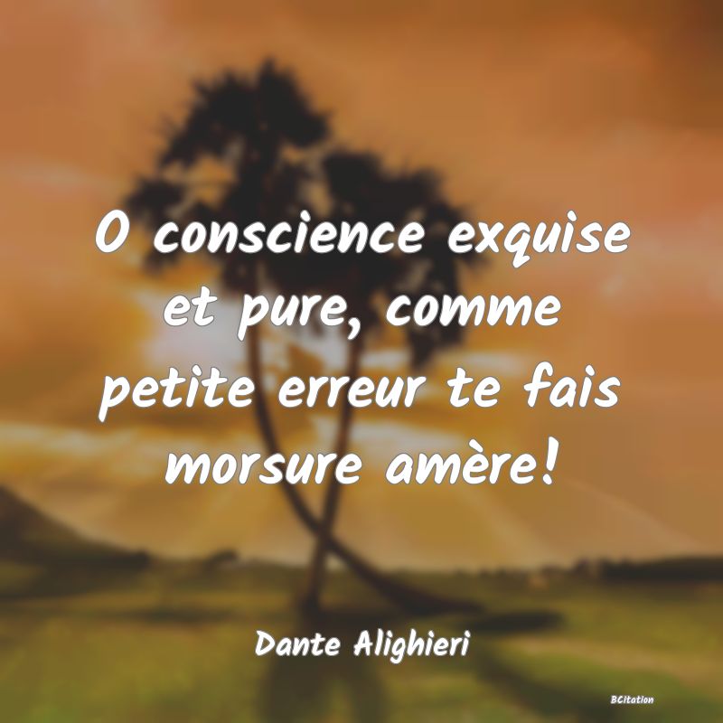 image de citation: O conscience exquise et pure, comme petite erreur te fais morsure amère!