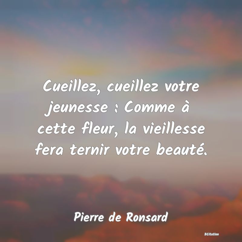 image de citation: Cueillez, cueillez votre jeunesse : Comme à cette fleur, la vieillesse fera ternir votre beauté.