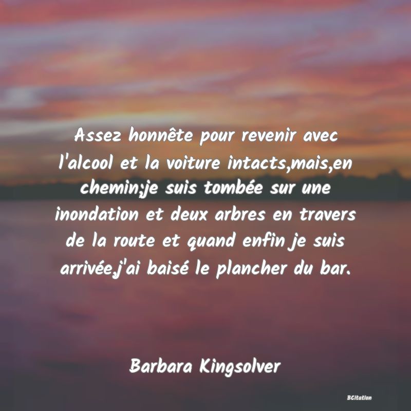 image de citation: Assez honnête pour revenir avec l'alcool et la voiture intacts,mais,en chemin;je suis tombée sur une inondation et deux arbres en travers de la route et quand enfin je suis arrivée,j'ai baisé le plancher du bar.