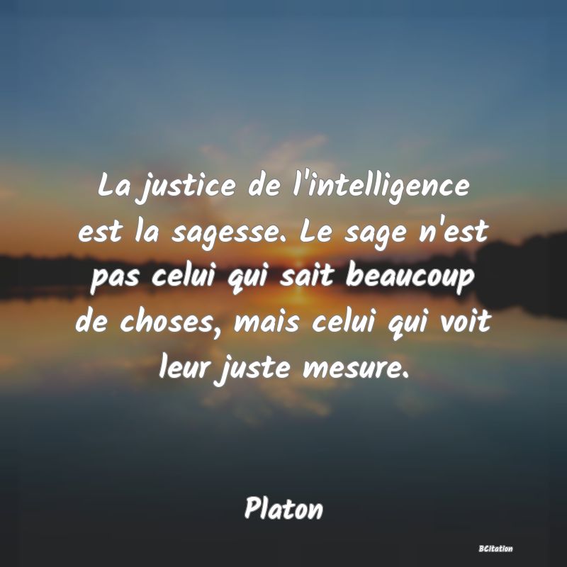 image de citation: La justice de l'intelligence est la sagesse. Le sage n'est pas celui qui sait beaucoup de choses, mais celui qui voit leur juste mesure.