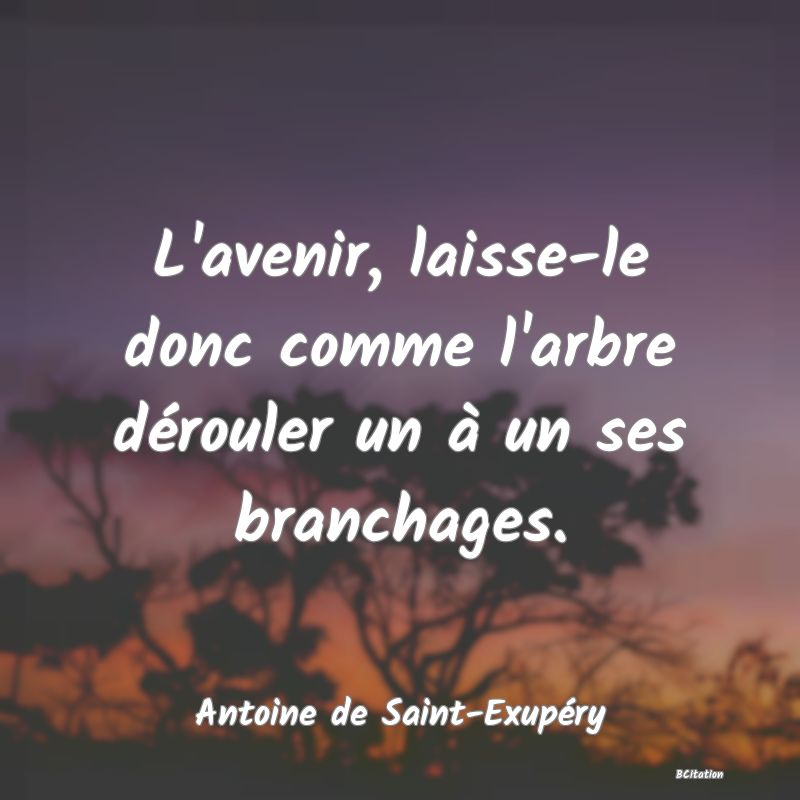 image de citation: L'avenir, laisse-le donc comme l'arbre dérouler un à un ses branchages.