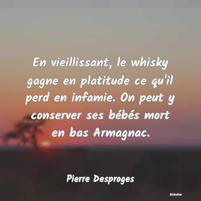 Belle Citation - En vieillissant, le whisky gagne en platitude ce qu'il perd en infamie. On peut y conserver ses bébés mort en bas Armagnac. - Pierre Desproges