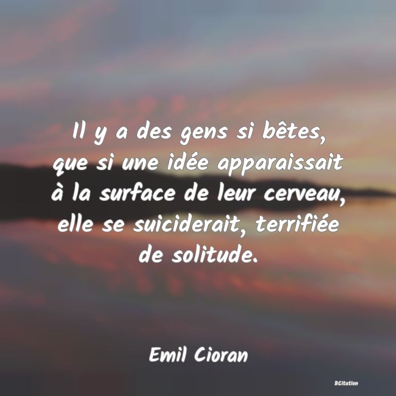 image de citation: Il y a des gens si bêtes, que si une idée apparaissait à la surface de leur cerveau, elle se suiciderait, terrifiée de solitude.