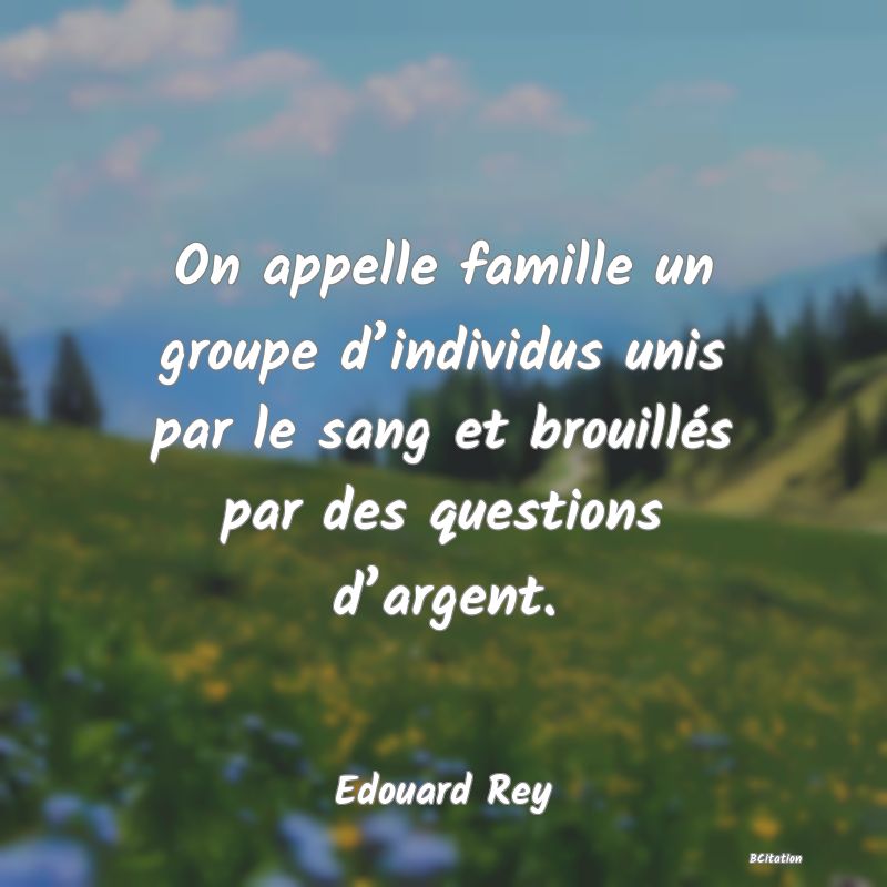 Belle Citation - On appelle famille un groupe d’individus unis par le sang et brouillés par des questions d’argent. - Edouard Rey
