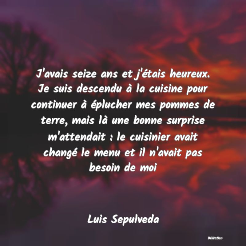 image de citation: J'avais seize ans et j'étais heureux. Je suis descendu à la cuisine pour continuer à éplucher mes pommes de terre, mais là une bonne surprise m'attendait : le cuisinier avait changé le menu et il n'avait pas besoin de moi