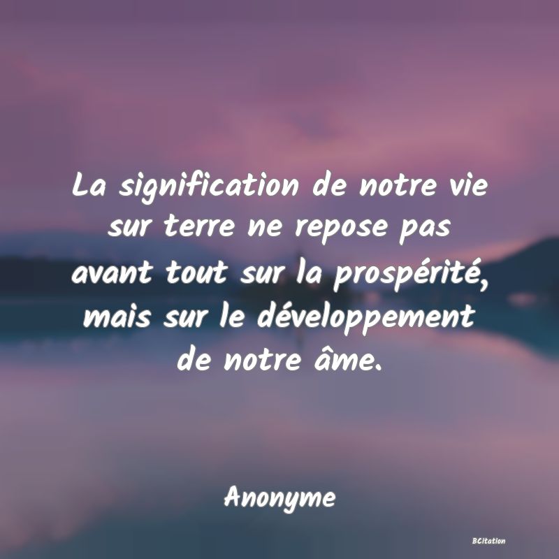 image de citation: La signification de notre vie sur terre ne repose pas avant tout sur la prospérité, mais sur le développement de notre âme.