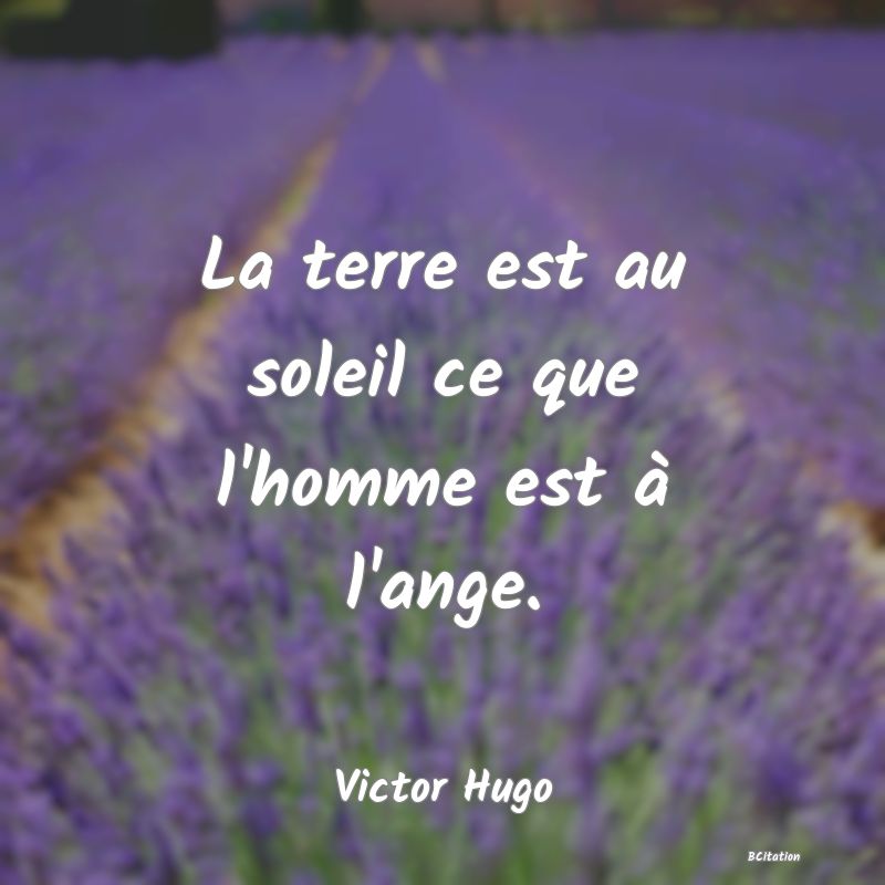 image de citation: La terre est au soleil ce que l'homme est à l'ange.