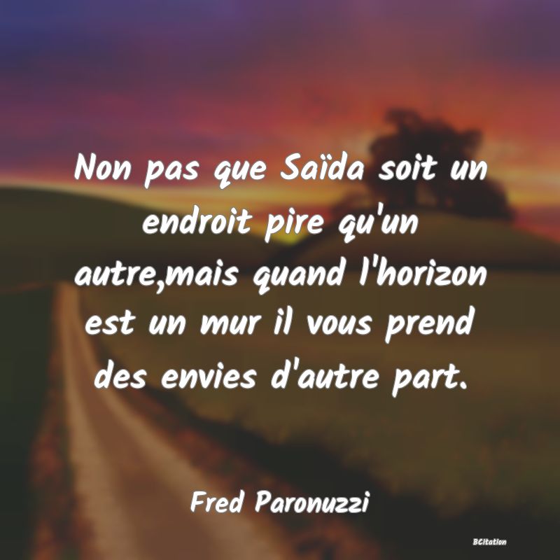 image de citation: Non pas que Saïda soit un endroit pire qu'un autre,mais quand l'horizon est un mur il vous prend des envies d'autre part.