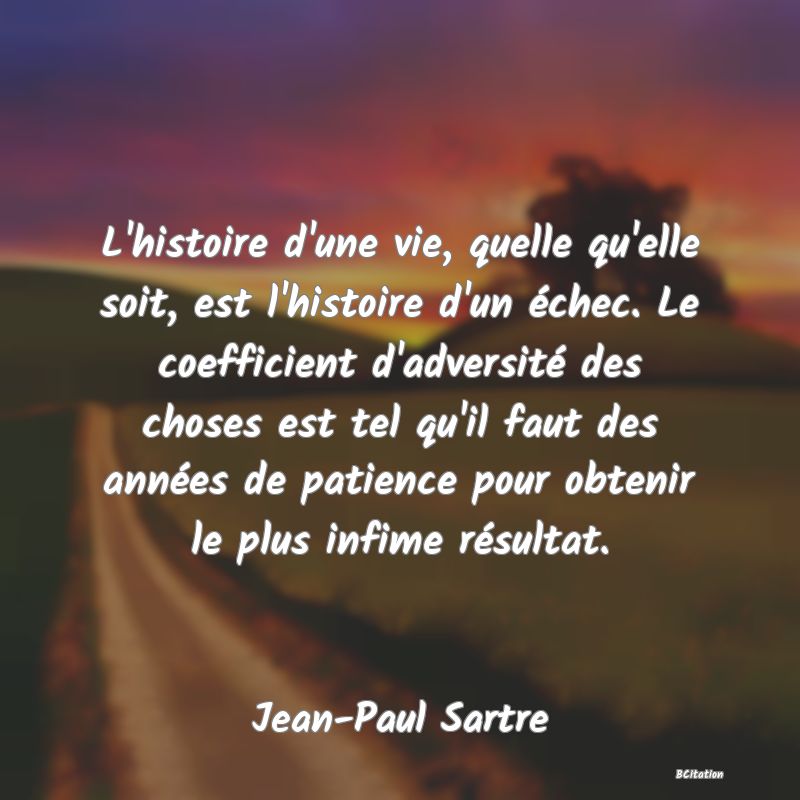 image de citation: L'histoire d'une vie, quelle qu'elle soit, est l'histoire d'un échec. Le coefficient d'adversité des choses est tel qu'il faut des années de patience pour obtenir le plus infime résultat.