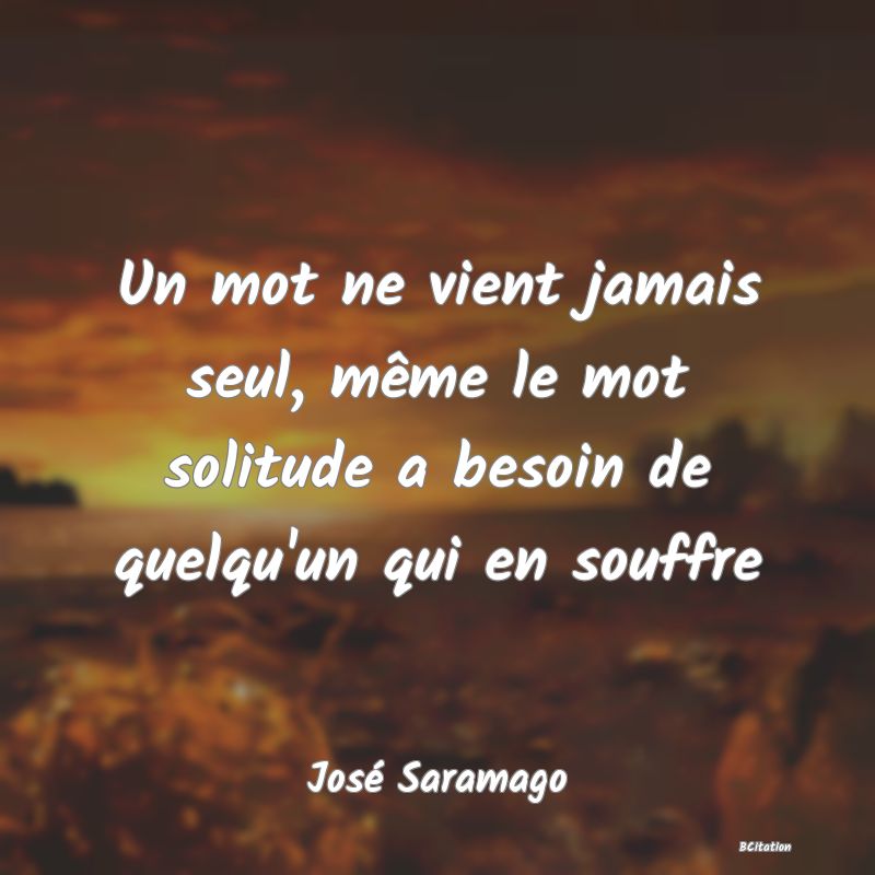 image de citation: Un mot ne vient jamais seul, même le mot solitude a besoin de quelqu'un qui en souffre