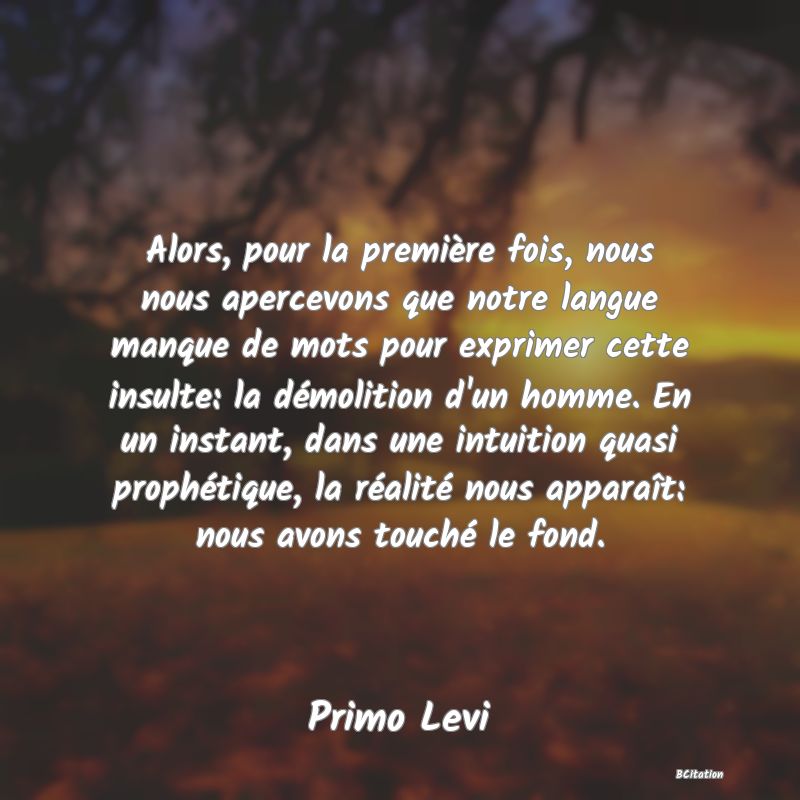Belle Citation - Alors, pour la première fois, nous nous apercevons que notre langue manque de mots pour exprimer cette insulte: la démolition d'un homme. En un instant, dans une intuition quasi prophétique, la réalité nous apparaît: nous avons touché le fond. - Primo Levi