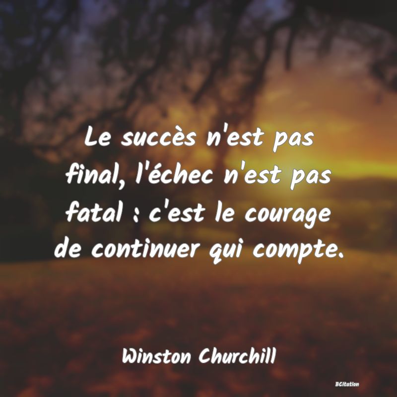 image de citation: Le succès n'est pas final, l'échec n'est pas fatal : c'est le courage de continuer qui compte.