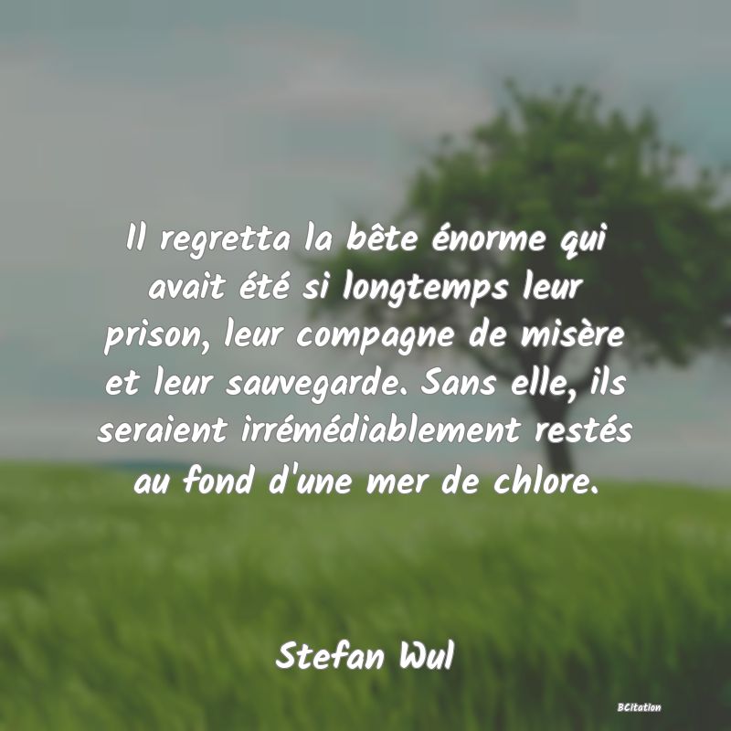 Belle Citation - Il regretta la bête énorme qui avait été si longtemps leur prison, leur compagne de misère et leur sauvegarde. Sans elle, ils seraient irrémédiablement restés au fond d'une mer de chlore. - Stefan Wul