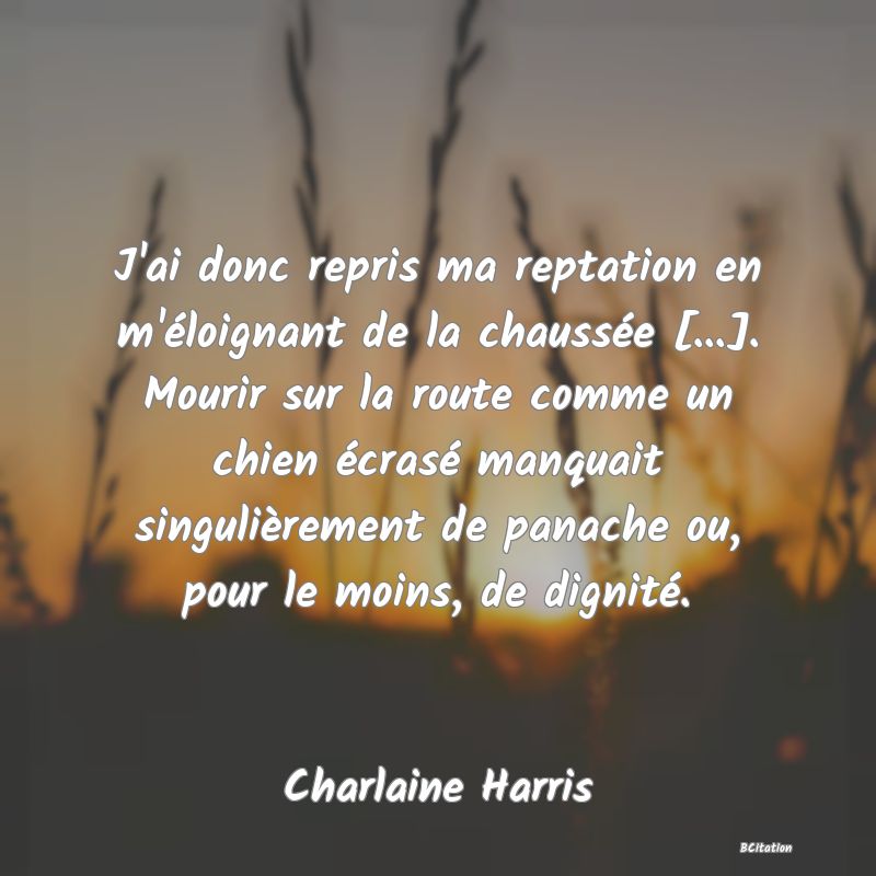 image de citation: J'ai donc repris ma reptation en m'éloignant de la chaussée [...]. Mourir sur la route comme un chien écrasé manquait singulièrement de panache ou, pour le moins, de dignité.