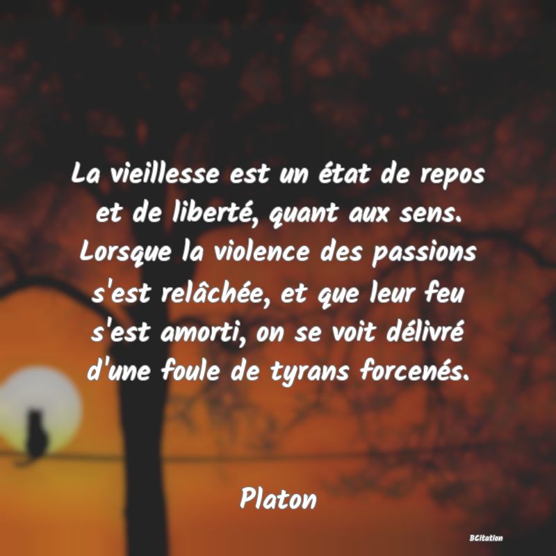 image de citation: La vieillesse est un état de repos et de liberté, quant aux sens. Lorsque la violence des passions s'est relâchée, et que leur feu s'est amorti, on se voit délivré d'une foule de tyrans forcenés.