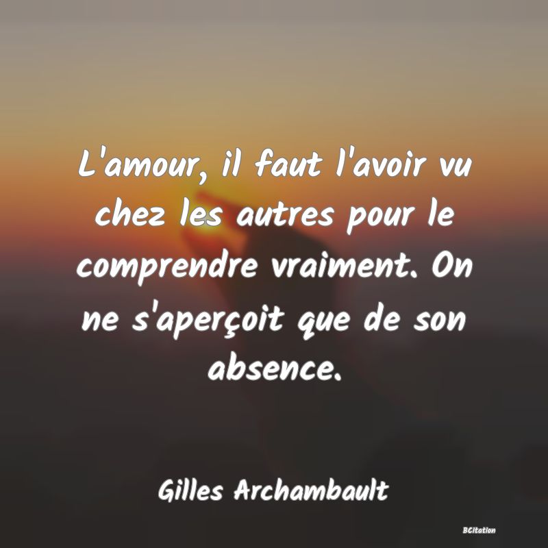 image de citation: L'amour, il faut l'avoir vu chez les autres pour le comprendre vraiment. On ne s'aperçoit que de son absence.