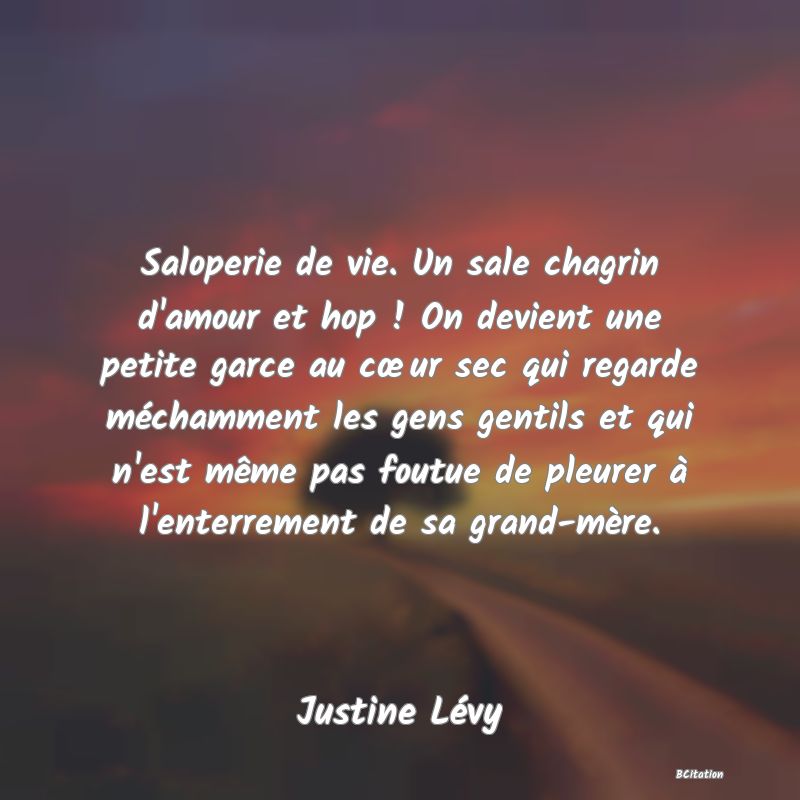 image de citation: Saloperie de vie. Un sale chagrin d'amour et hop ! On devient une petite garce au cœur sec qui regarde méchamment les gens gentils et qui n'est même pas foutue de pleurer à l'enterrement de sa grand-mère.