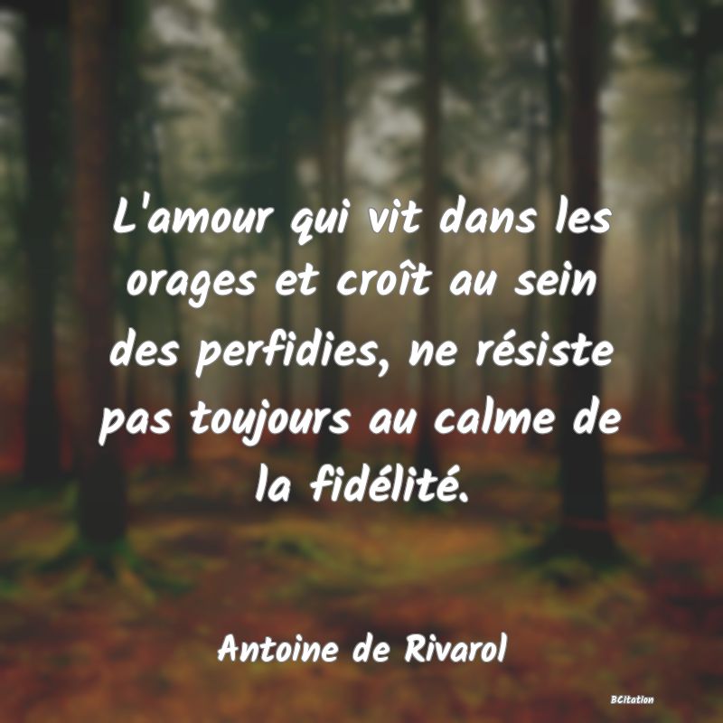 image de citation: L'amour qui vit dans les orages et croît au sein des perfidies, ne résiste pas toujours au calme de la fidélité.